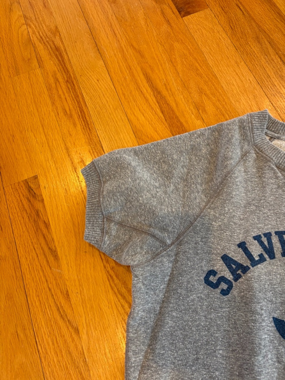 Salve Regina University  Grey Short Sleeve Sweatshirt - size small - Picture 4 of 8